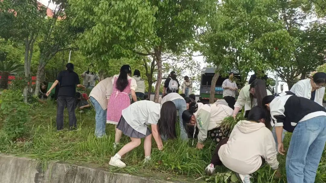 1749537052673318.jpg 微信圖片_20250610143043.jpg